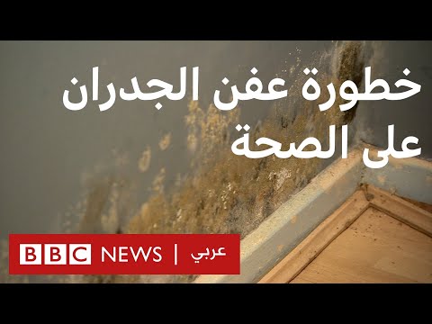 فيديو: هل العفن أبيض من أي وقت مضى؟