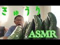 【ASMR】庭のとれたてきゅうり。【ハゲ】