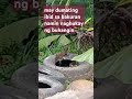 bakit naghukay ng buhangin@tetetaganahan795