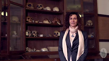 Cosa fanno i paleoantropologi?