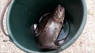 Dia de Pesca en Piscicultura