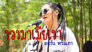 ขอขมาเมียเขา - ฮอร์น พรณภา [ Official MV ]