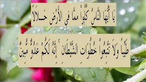 القران الكريم سورة البقرة الاية 168