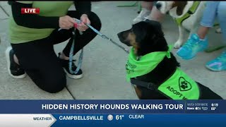 Hidden History Hounds Walking Tour registration underway