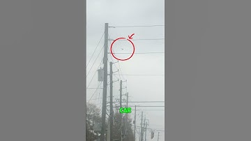 Floating Tentacle Creature in Sky! 👽