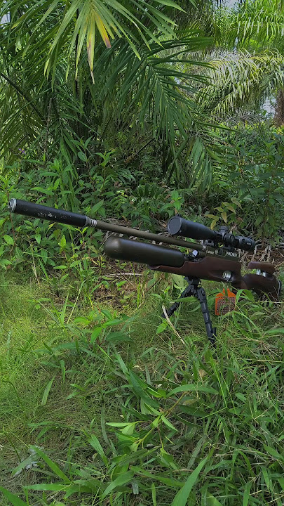 story'bedilers #berburu #hunting #shooting #berburupunai #shooter #statusvideo #shortvideo #ruak2