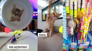 My Feline Friends Are Purr-fectly Pleased With Their New Toys - Discovering A Paw-some Pet Store! by Cats Life PH 189 views 1 month ago 3 minutes, 15 seconds