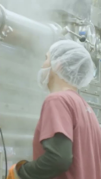 This is how #maplesyrup is made #shorts #foodinsider #howitsmade
