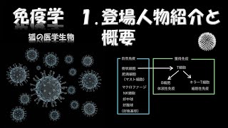 免疫学1  登場人物紹介と概要