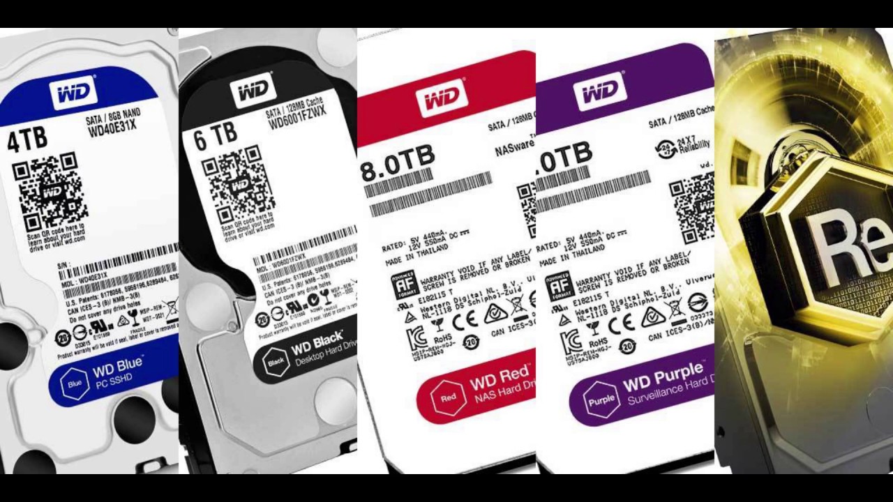 что означают цвета жестких дисков. Wd различие по цветам. Wd цвета. Wd цвета. цветовая маркировка wd дисков.