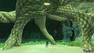 Celebrity How to Find Apapes Lightroot Location - The Legend of Zelda Tears of The Kingdom Wealth