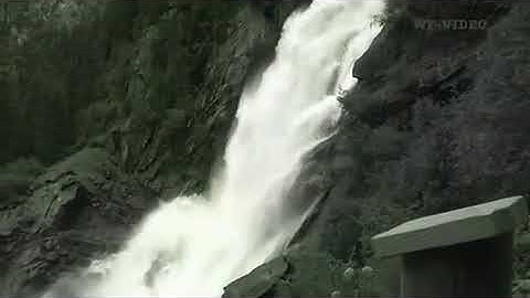 Video Colorization: Result 5/7