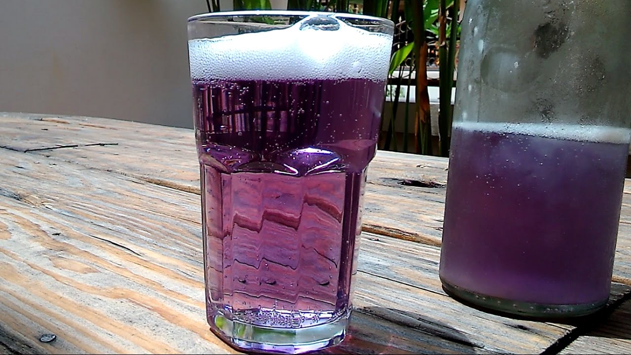 Download How to make Purple Ginger Beer homemade - Beginners Guide to Brewing Beer at Home - Alcoholic Beer