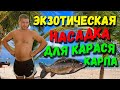 Экзотическая насадка для ловли карася и карпа