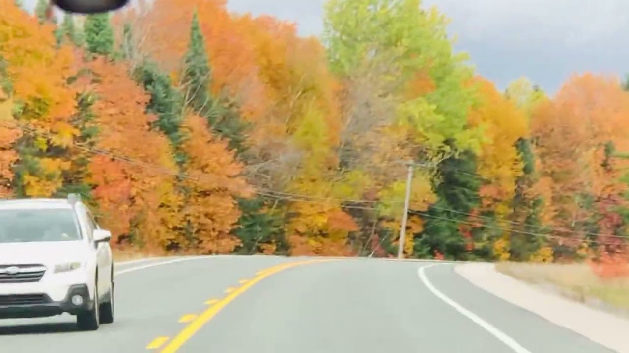 Fall Colours drive 