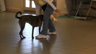 Freestyle Cher Take 1