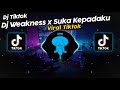 DJ WEAKNESS x SUKA KEPADAKU x MAAFKAN x MELODY DJ DANVATA VIRAL TIK TOK TERBARU 2024!!