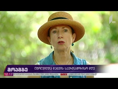 ლტოლვილთა დაცვის საერთაშორისო დღე