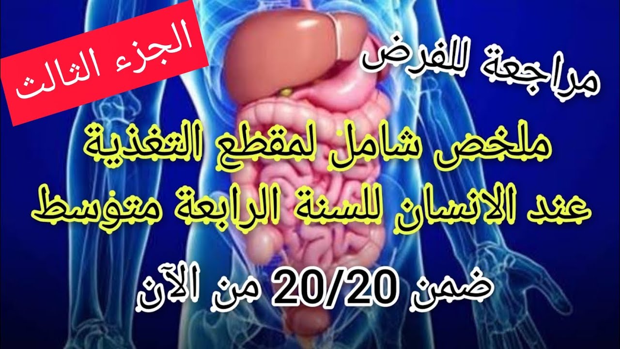 ملخص رائع و شامل | المقطع الأول: التغذية عند الانسان| للسنة الرابعة متوسط