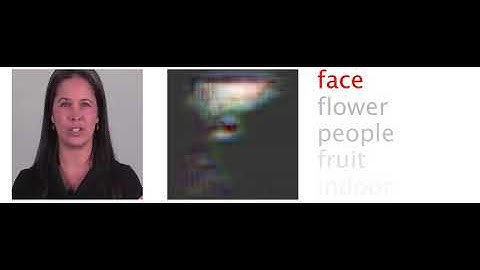 Decoding brain activity to reconstruct and category natural videos