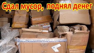 видео: Сколько можно заработать на картоне и стекле в 2022 году картинка: Сколько можно заработать на картоне и стекле в 2022 году