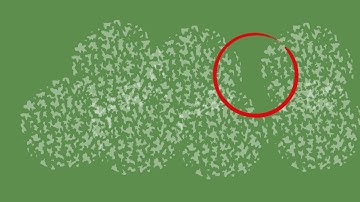 Simplifying jargon - Highlight
