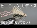 【フライタイイング】ピーコックカディスを巻いてみた！初夏から夏にもってこい！カディスにもテレストリアルにも見える万能フライ！