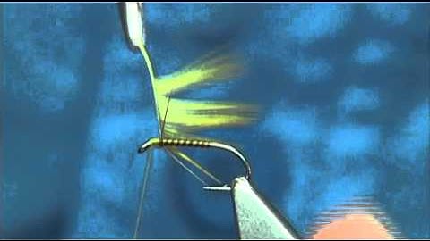 Tying an Olive Spider (Wet Fly) by Davie McPhail.