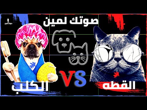 الكلب صوتك لمين  القطة      المفروض نربي مين في بيوتنا ومنربيش مين