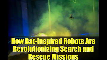 How Bat-Inspired Robots Are Revolutionizing Search and Rescue Missions
