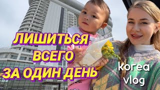 Все сгорело / закуп продуктов в Корее / Корея влог