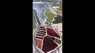 Charm Unveiled | Nature's color palette: the wonders of Hamarighatai Lake