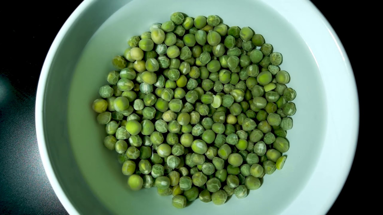 Soaking Green Peas In Time Lapse A Must Watch Amazing Transformation Soaking Green Peas In Time Lapse A Must Watch Amazing Transformation