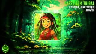 Cytrena, Martyrdøm - PASSO BEM TRIBAL Slowed (Official Visualizer)