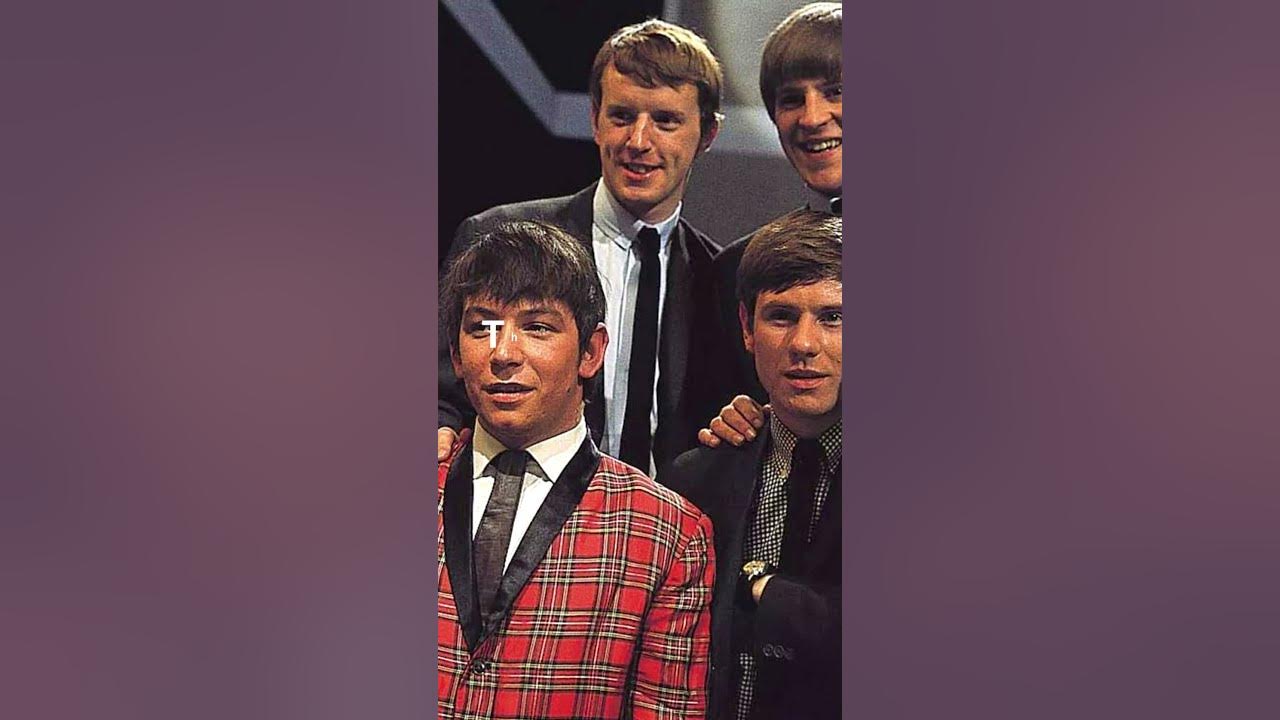 Best: The Animals - House of the Rising Sun #shorts #theanimals #song #songs #music #lyrics #pop