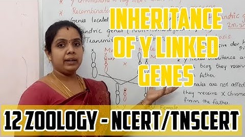 INHERITANCE OF Y LINKED GENES TAMIL -| CLASS 12| PRINCIPLE OF INHERITANCE AND VARIATIONS
