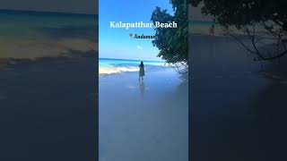 Andaman Travel Vlog | Paradise Islands of India 🏝️✨ | Havelock, Neil, Port Blair #andaman #travel
