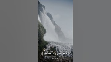 لا تقنطوا من رحمة الله _ أشرف اللحجي سورة الزمر.
