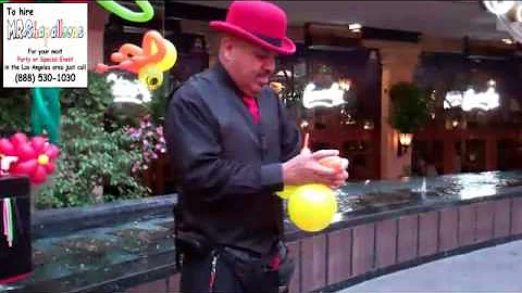 Los Angeles Balloon Artist Frank Alday "Mr. Shapalloons" making a Shapalloon Bee