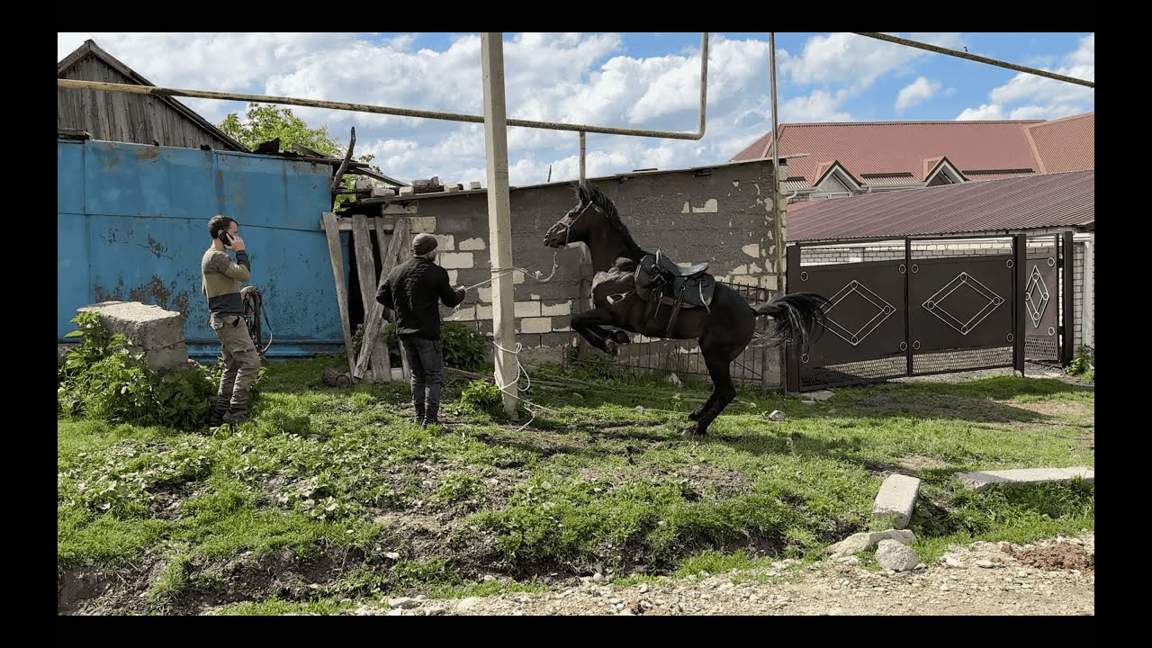 Выпуск 7.1 | Садись, он спокойный | Александр Обжерин