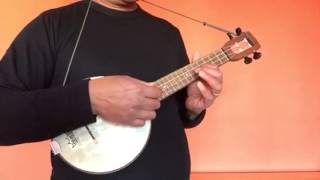 Fluke Firefly Soprano Banjolele