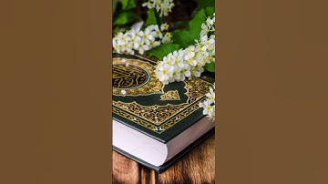 #القرأن سورة الفاتحة بصوت ماهر المعيقلي