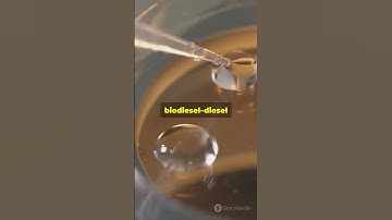 Hydrogel Magic.#sciencefather #researchchemistry #biochemistry #scientist #professor #phd #awards