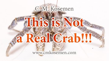 CRAB PARTY - How "Crabs" Evolved Independently
