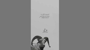 ما تيسر من سورة الحج - القارئ ياسر الدوسري #تلاوات #قران_الكريم #حالات #ياسر_الدوسري #تبصرة #quran