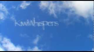 116. The Sound of a Storm. (Stereo Audio)