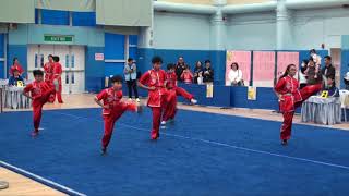 20190119 龍武館~公開組集體初級南拳B隊 (2018/2019青少年武術普及訓練計劃錦標賽) HD