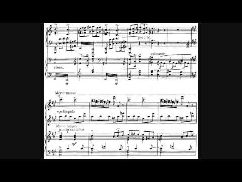 Chopin: Solo Piano Works - Vladimir Ashkenazy Songs