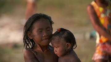 The Amazon: its threats and how we