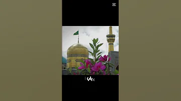 يا طارق باب الرضا 